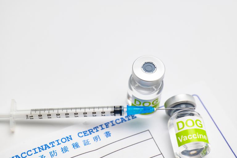 アメリカにおける多文化社会と格差問題を超える持続可能なワクチン医療体制の挑戦